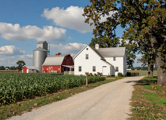 White Iowa farmhouse surrounded by soybean fields with grain elevator in background - rural singles Iowa