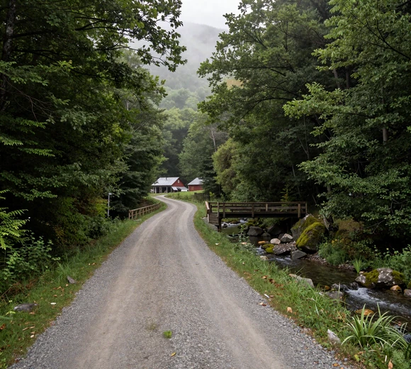 Winding gravel road through deep West Virginia mountain hollow with morning mist - mountain farm singles dating challenges
